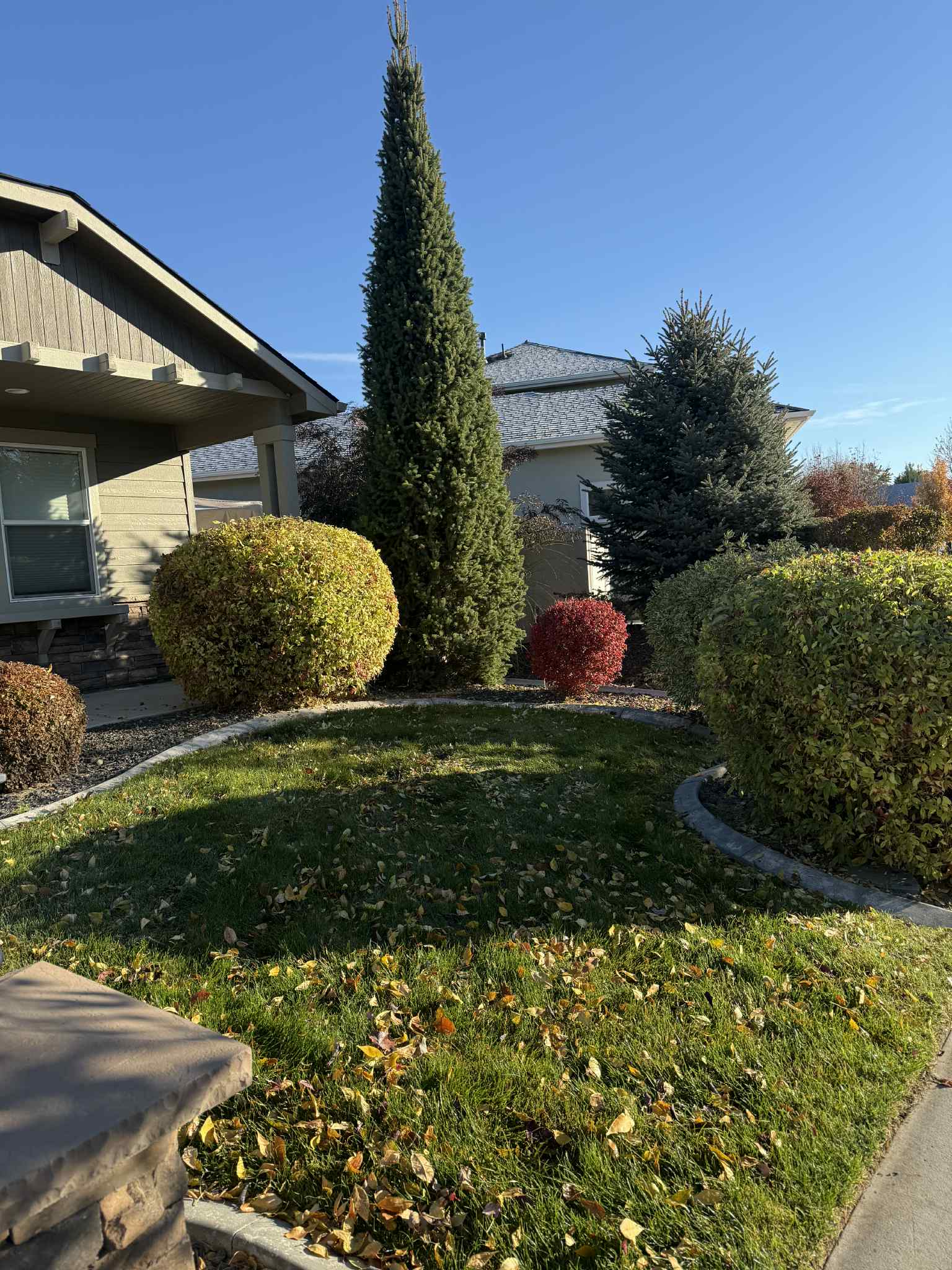 68a6a76e-6d47-4deb-960b-d9b472182039